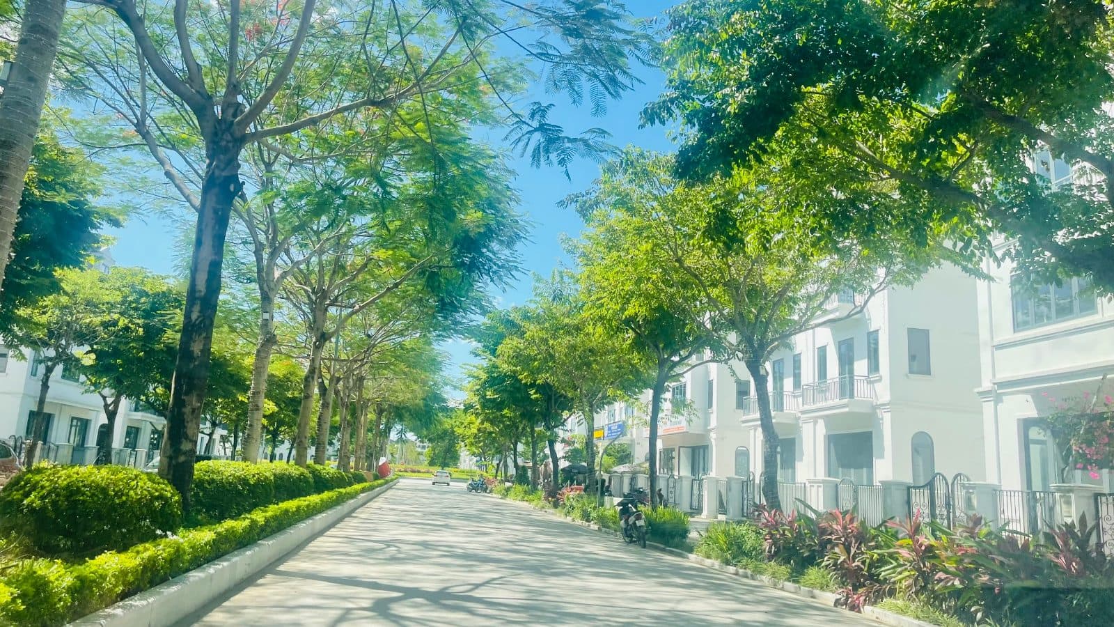 Solasta Mansion dãy R03 — biệt thự R03.29, 360,8m2 sàn, 28,08 tỷ — ảnh 3 trong 3