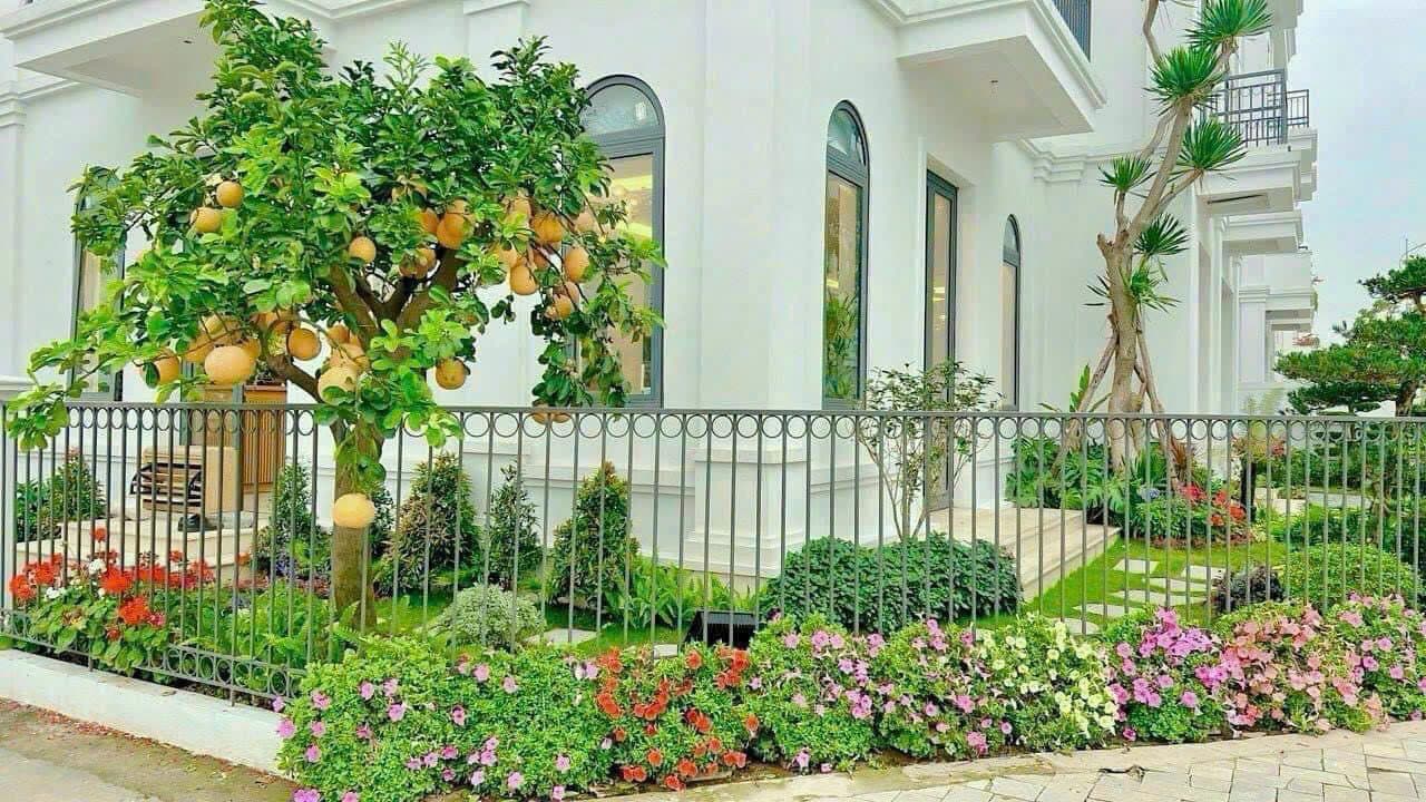 Solasta Mansion R01.29: biệt thự 4 tầng, 435,5m2 sàn, sổ sẵn — ảnh 3 trong 3
