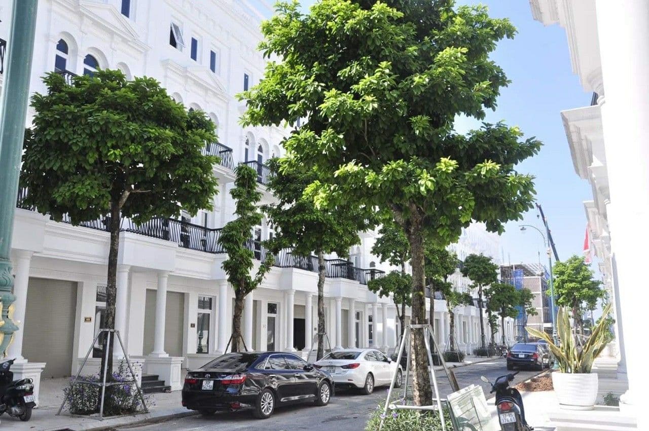 Mặt bằng đẹp Cho thuê Liền kề 105m2 Louis City Đại Mỗ 35 triệu/tháng — ảnh 5 trong 5