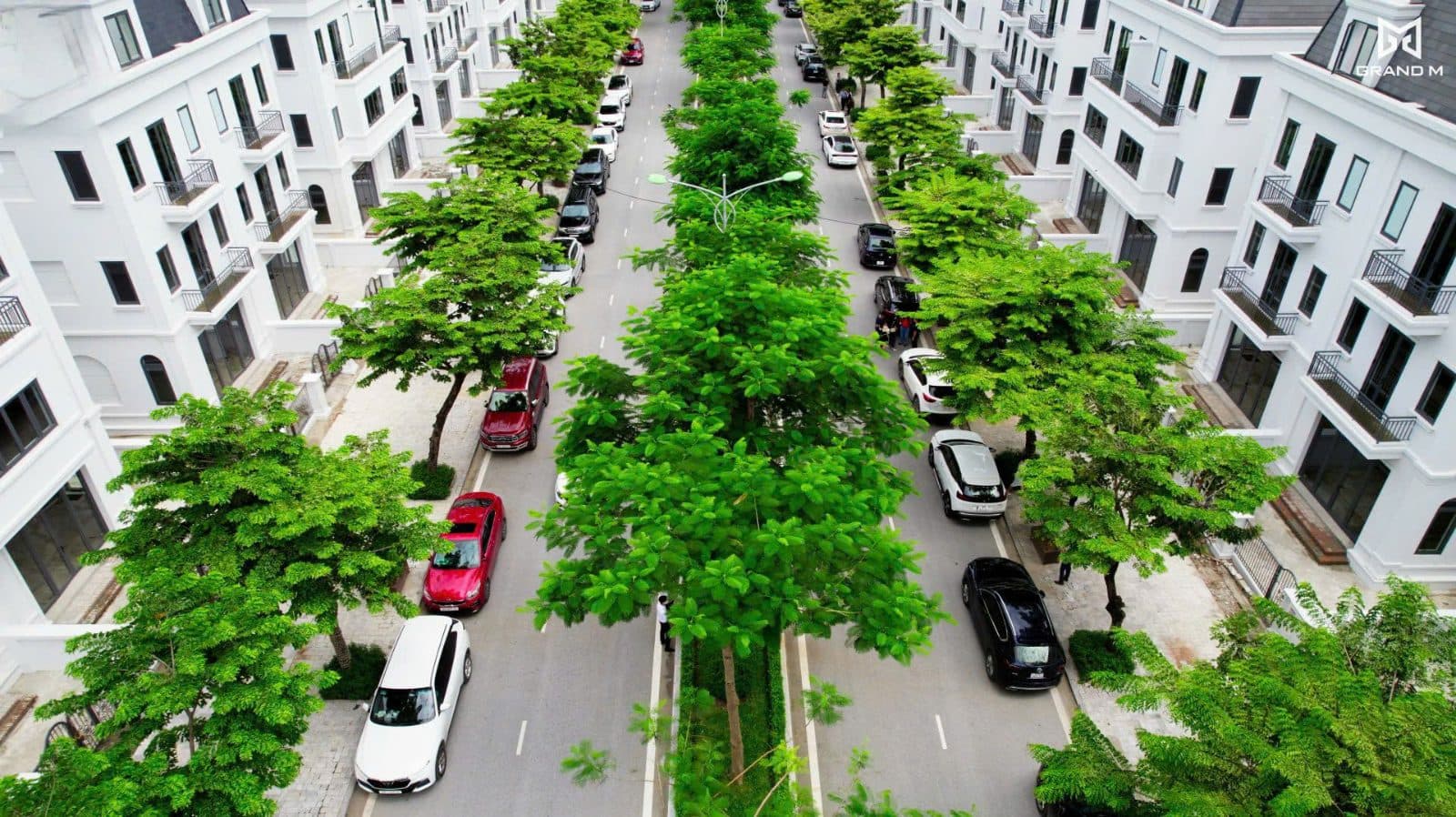 Biệt thự dãy Q01 Solasta Mansion, căn Q01.26, 212,5m2, KĐT Dương Nội — ảnh 3 trong 3